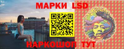 сатива Новодвинск