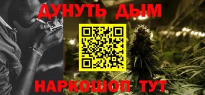 сатива Новодвинск