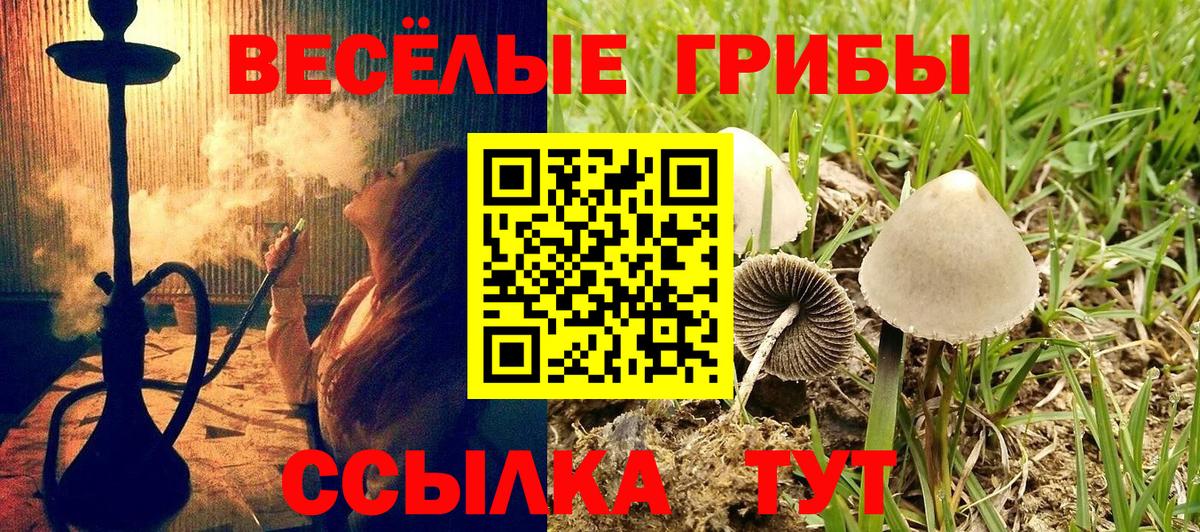 Псилоцибиновые грибы MAGIC MUSHROOMS Петрозаводск